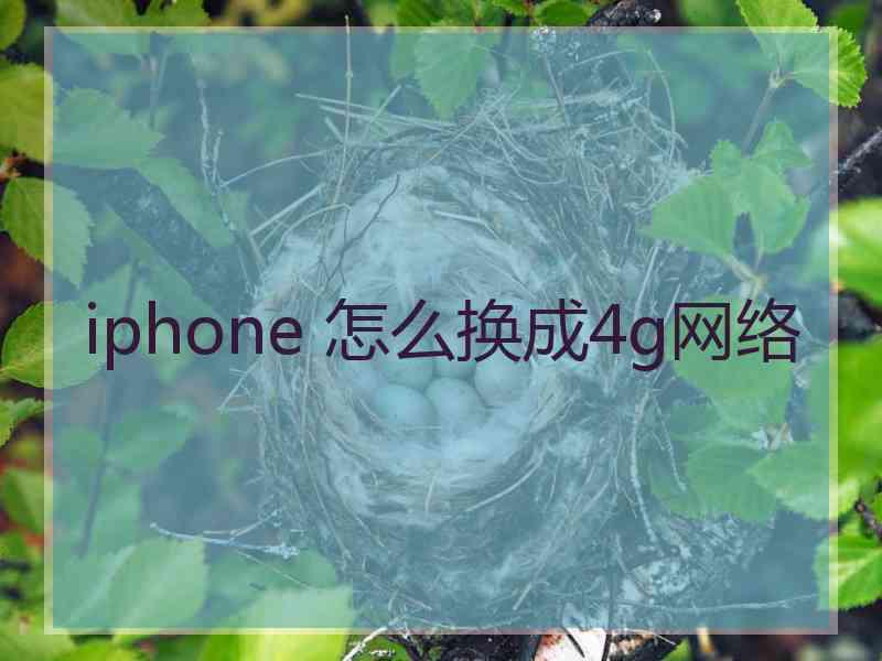 iphone 怎么换成4g网络