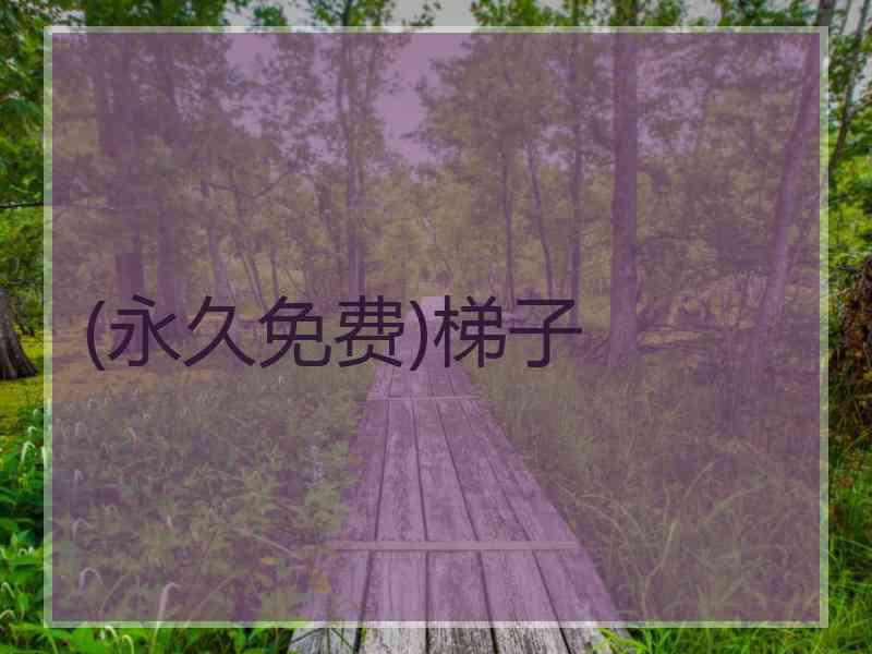 (永久免费)梯子