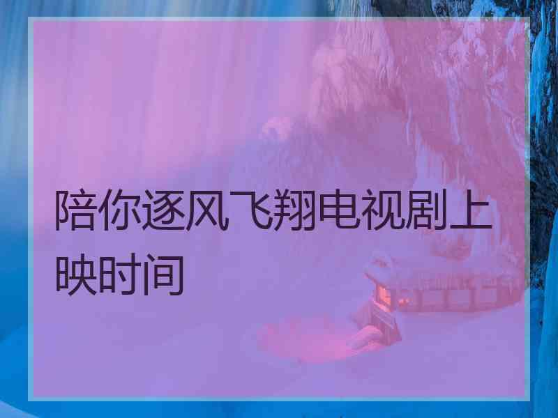 陪你逐风飞翔电视剧上映时间