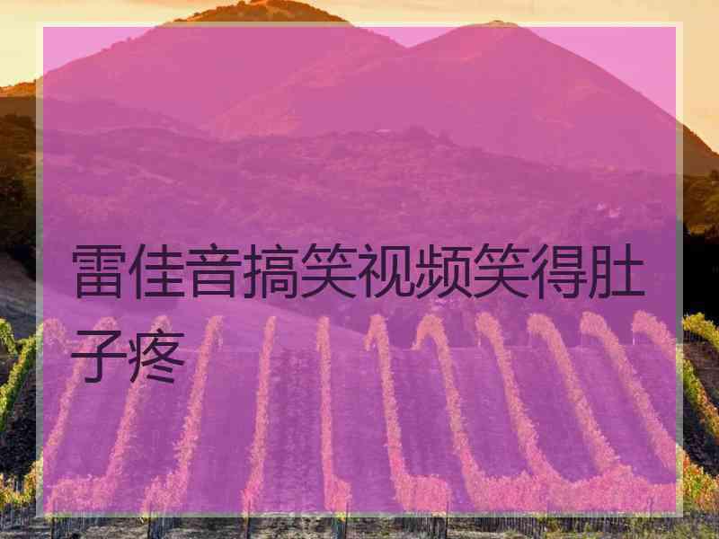 雷佳音搞笑视频笑得肚子疼