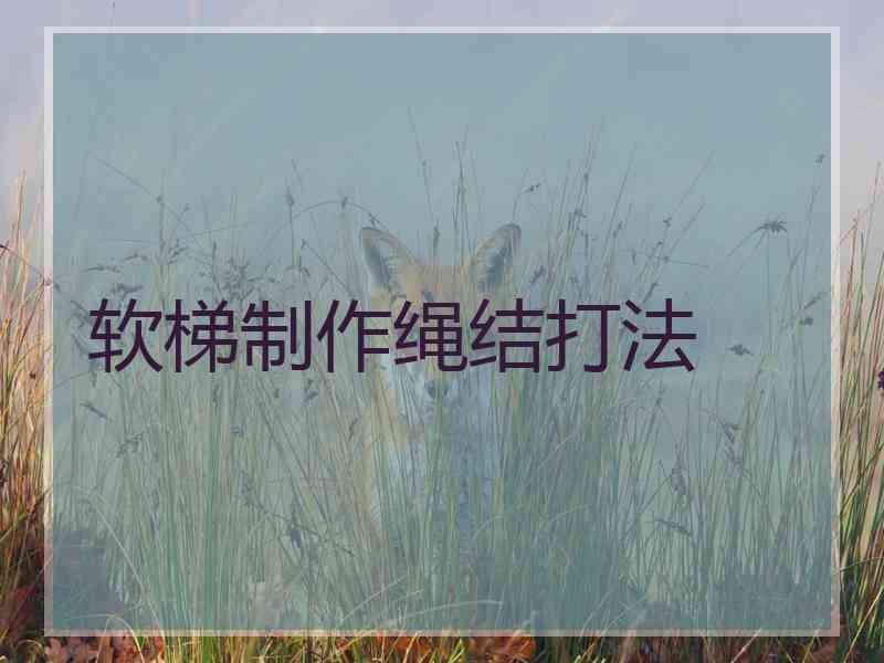 软梯制作绳结打法