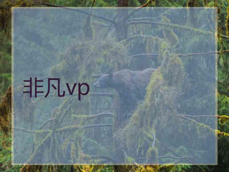 非凡vp
