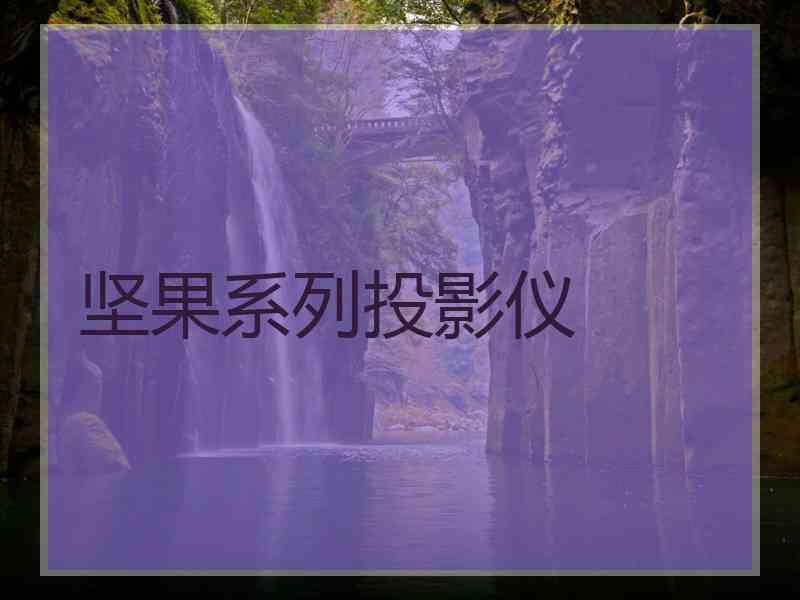 坚果系列投影仪