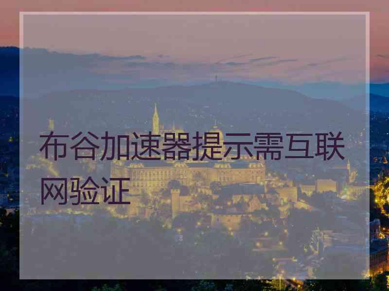 布谷加速器提示需互联网验证