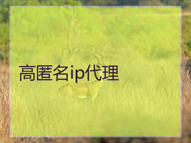 高匿名ip代理