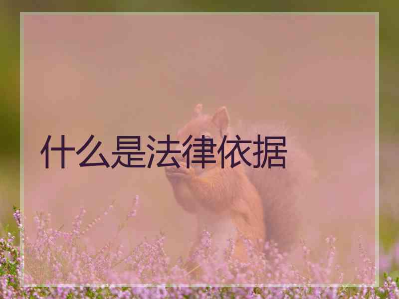 什么是法律依据