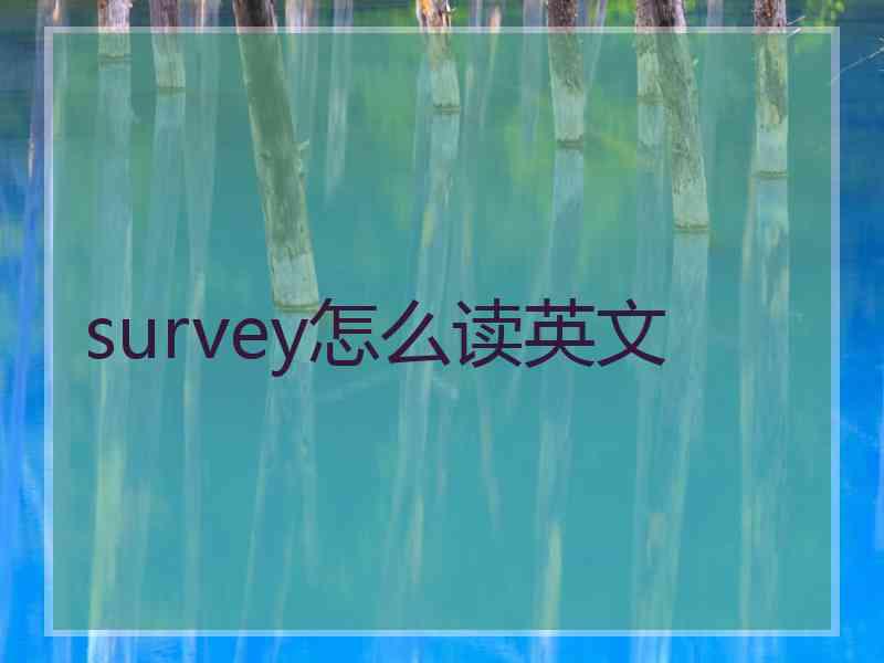 survey怎么读英文
