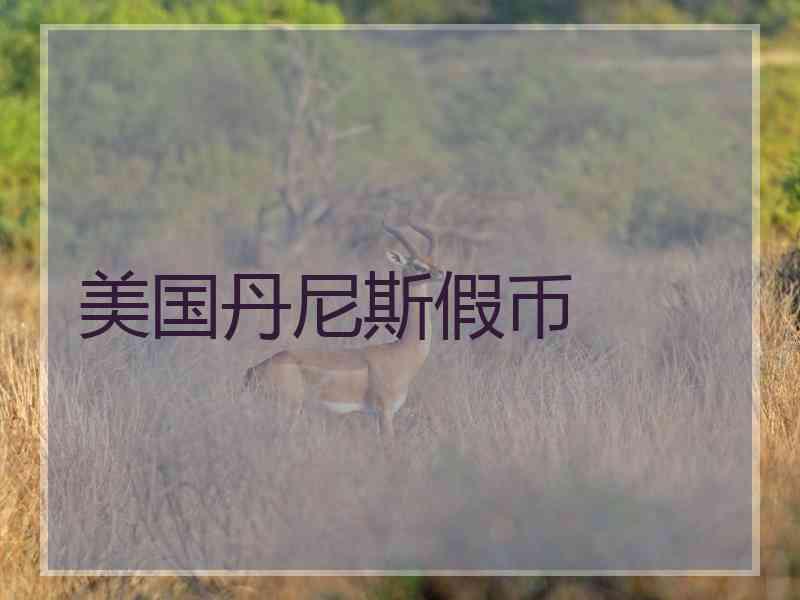 美国丹尼斯假币