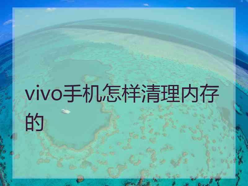 vivo手机怎样清理内存的