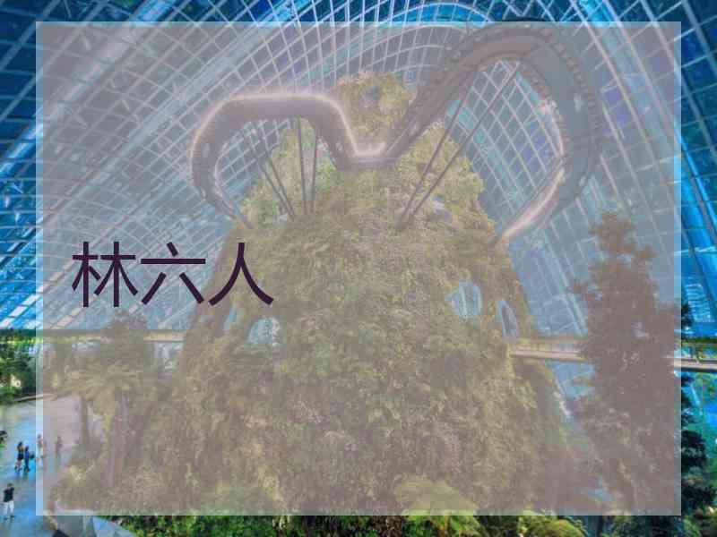 林六人