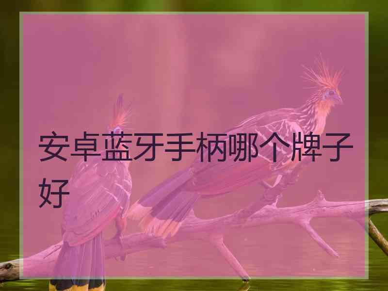 安卓蓝牙手柄哪个牌子好