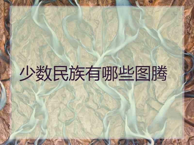 少数民族有哪些图腾