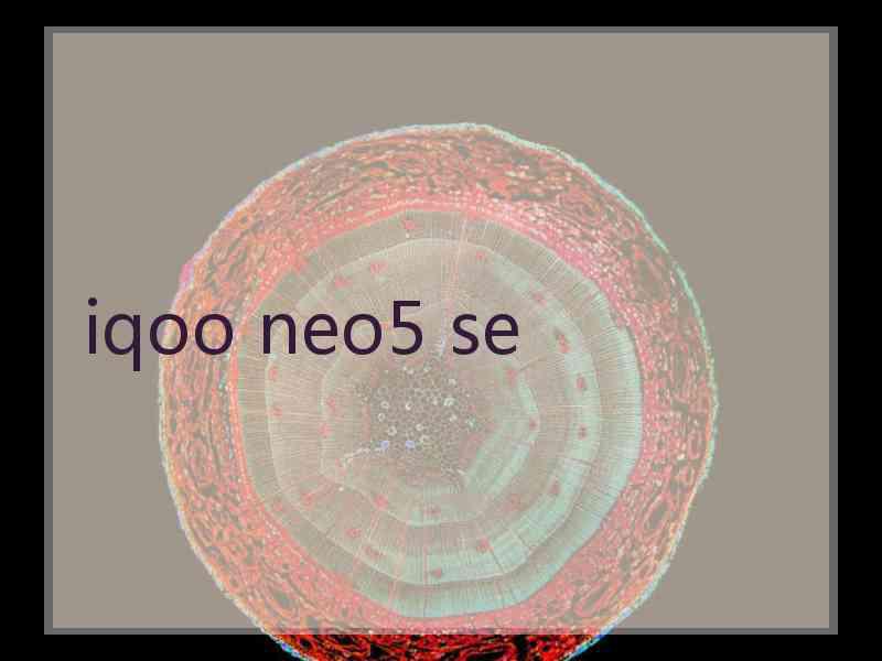 iqoo neo5 se