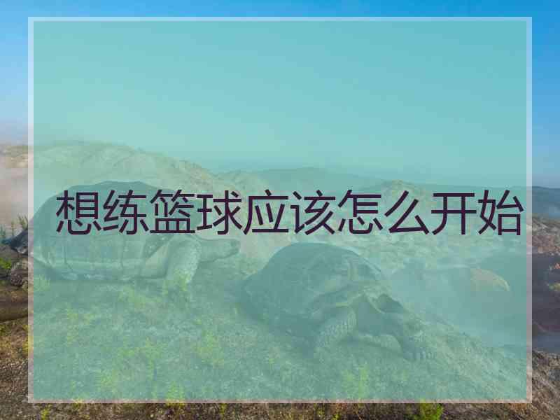 想练篮球应该怎么开始