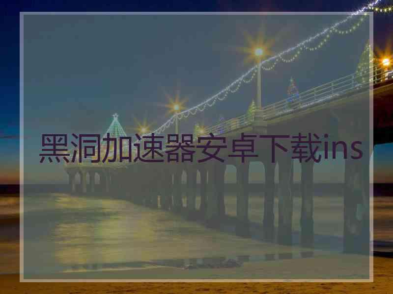 黑洞加速器安卓下载ins