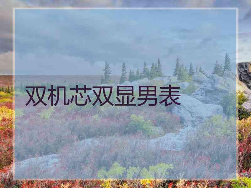 双机芯双显男表