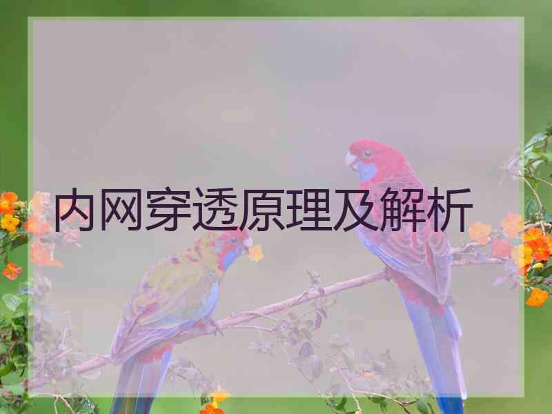 内网穿透原理及解析