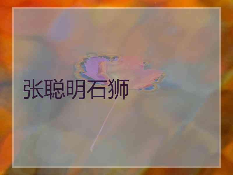 张聪明石狮