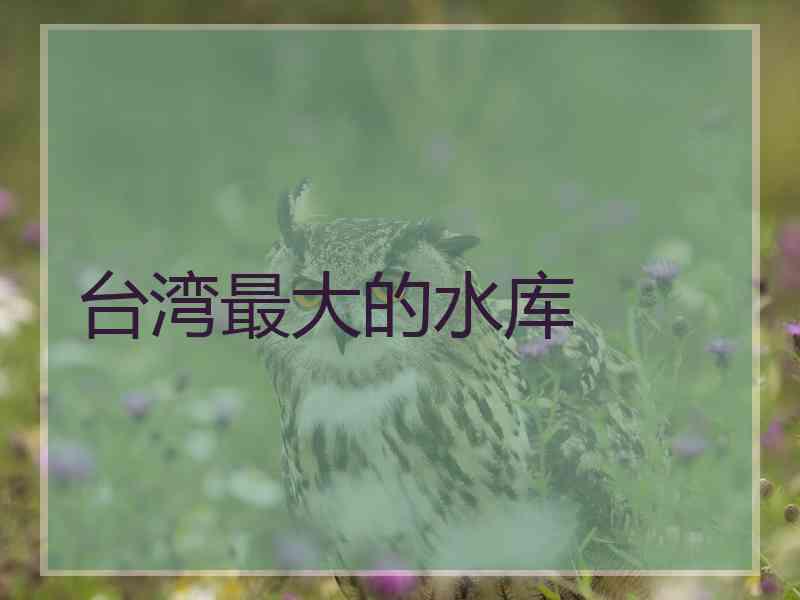 台湾最大的水库