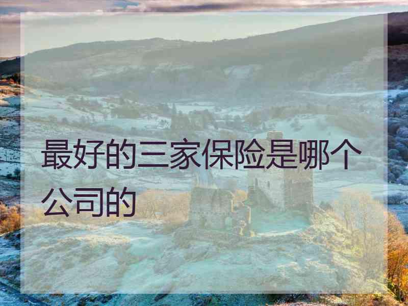 最好的三家保险是哪个公司的