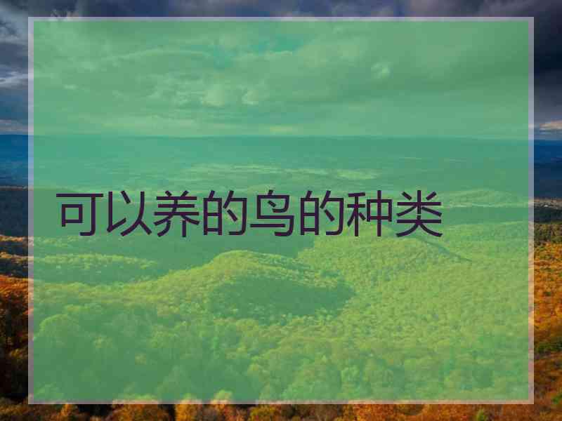 可以养的鸟的种类