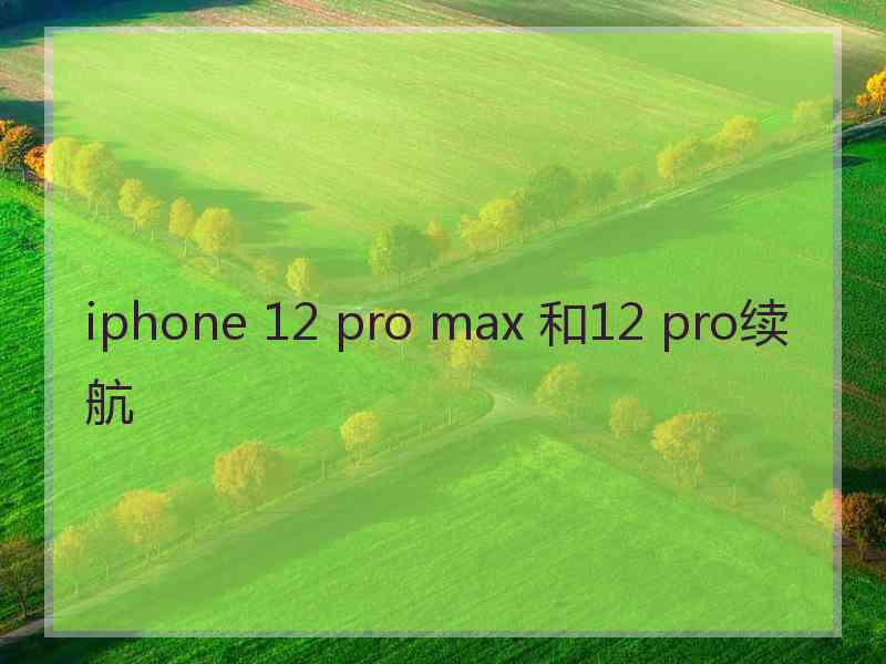 iphone 12 pro max 和12 pro续航