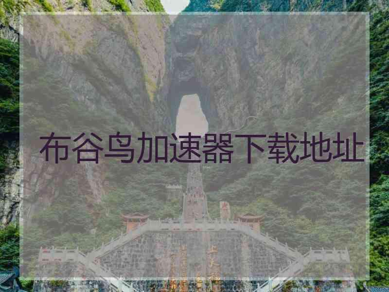 布谷鸟加速器下载地址