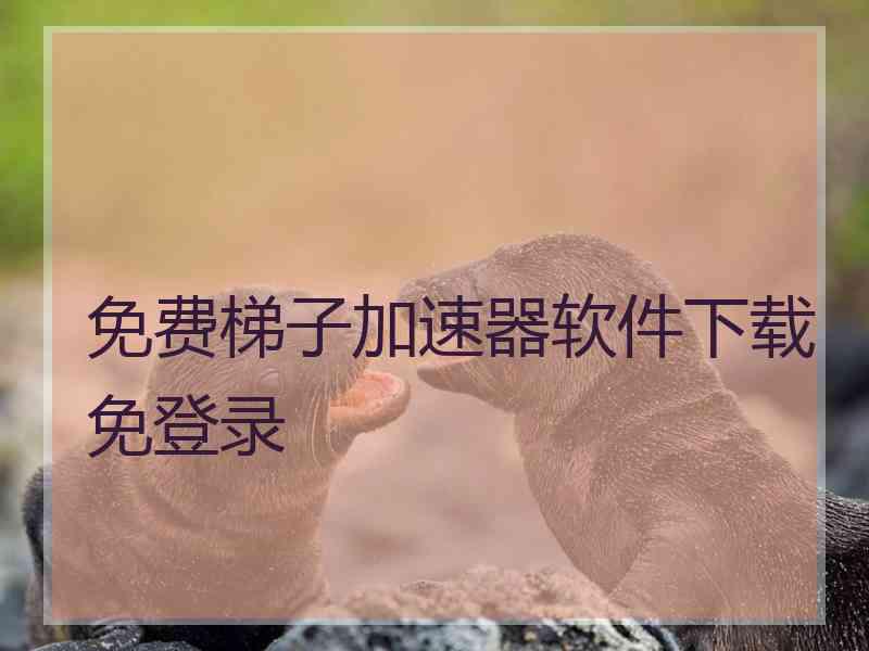 免费梯子加速器软件下载免登录