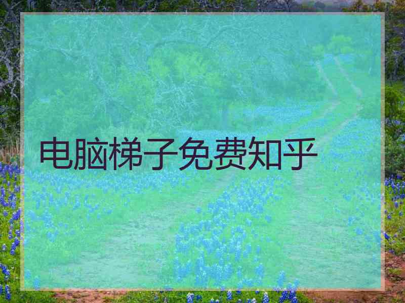 电脑梯子免费知乎