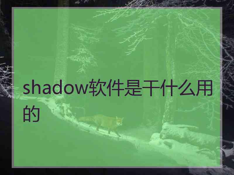 shadow软件是干什么用的