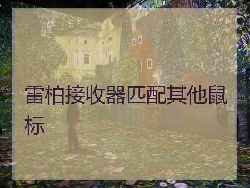 雷柏接收器匹配其他鼠标