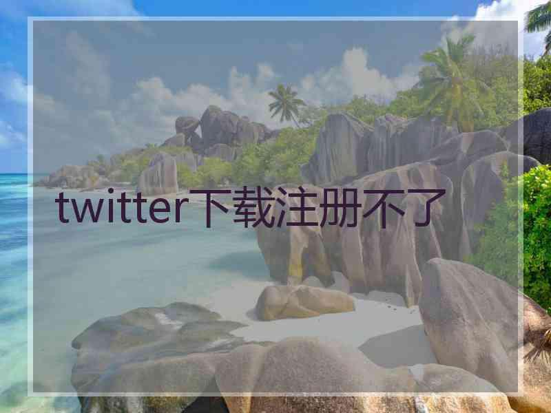 twitter下载注册不了