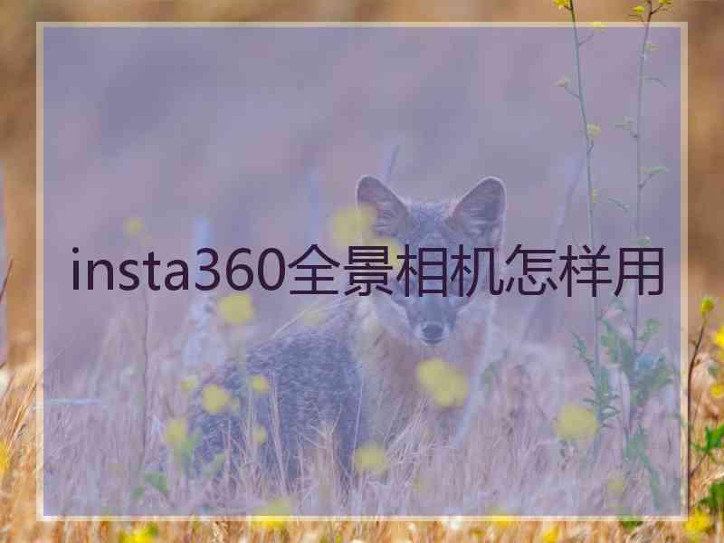 insta360全景相机怎样用