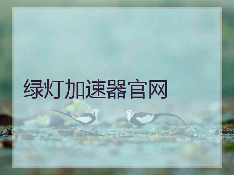 绿灯加速器官网