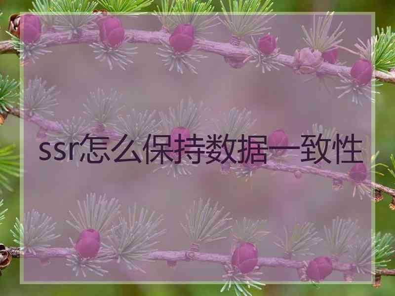 ssr怎么保持数据一致性