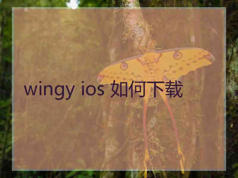 wingy ios 如何下载