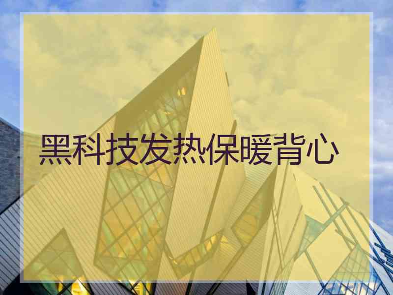 黑科技发热保暖背心