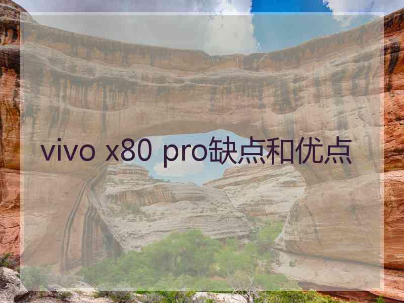 vivo x80 pro缺点和优点
