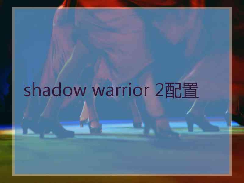 shadow warrior 2配置