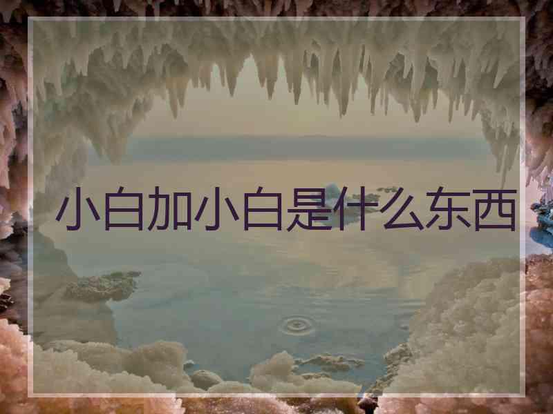 小白加小白是什么东西