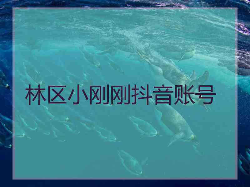 林区小刚刚抖音账号