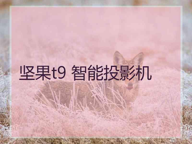坚果t9 智能投影机