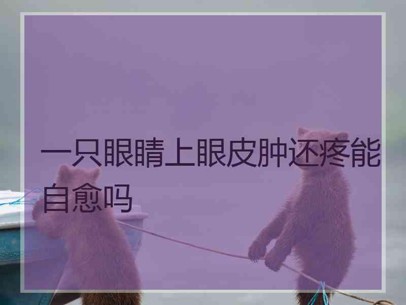一只眼睛上眼皮肿还疼能自愈吗