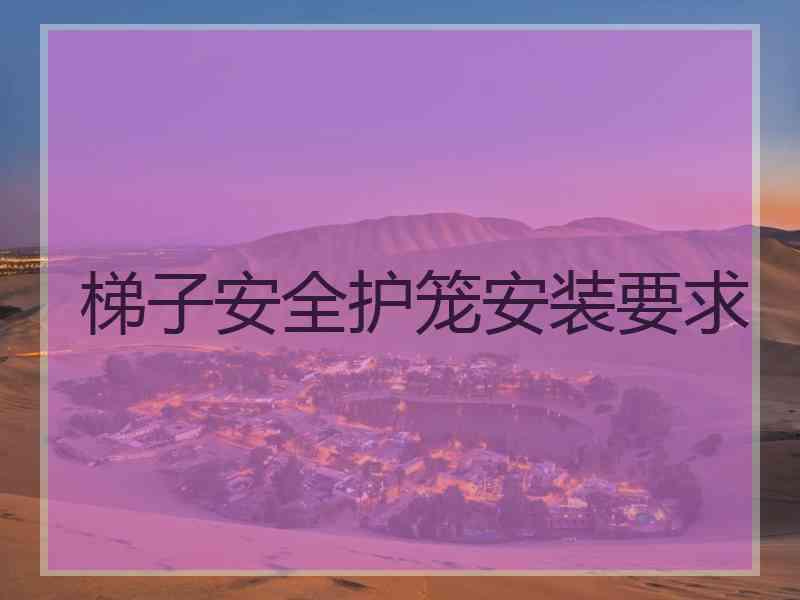 梯子安全护笼安装要求