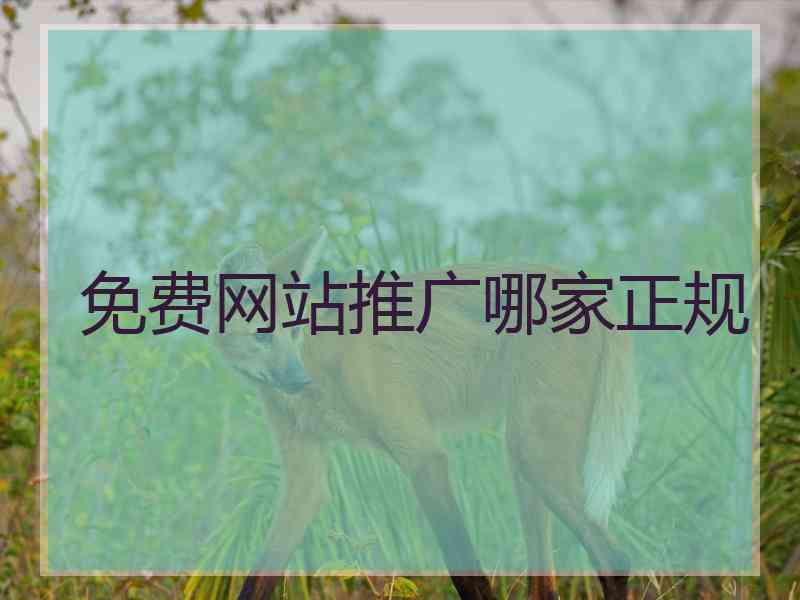 免费网站推广哪家正规