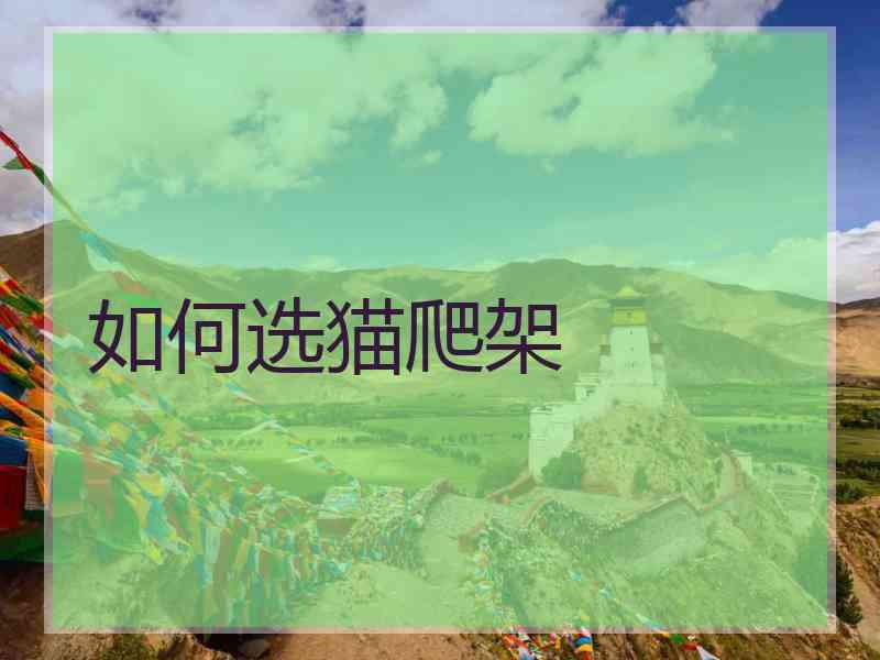 如何选猫爬架