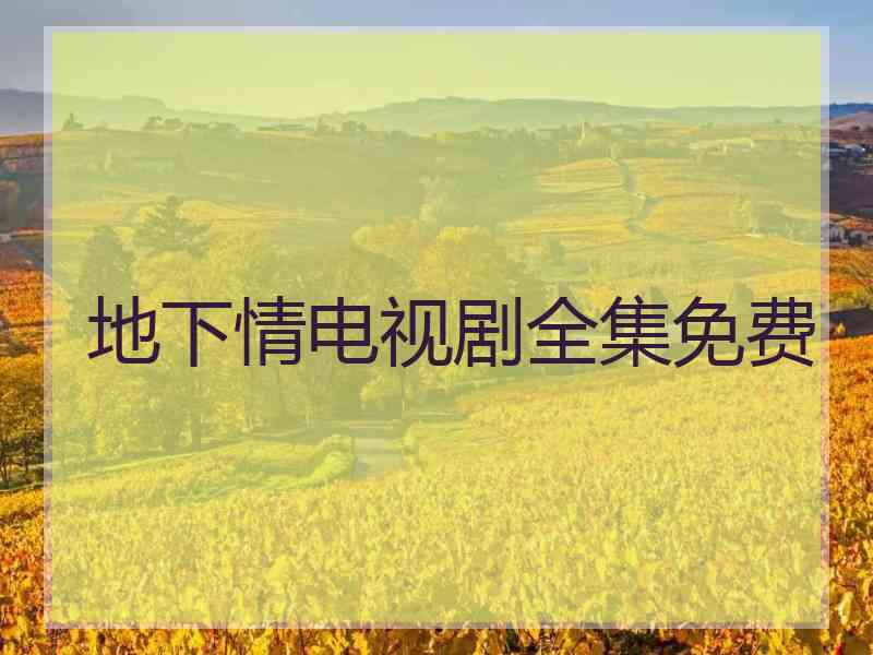 地下情电视剧全集免费