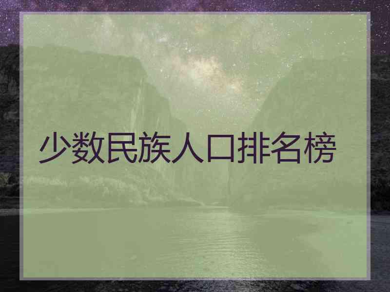 少数民族人口排名榜