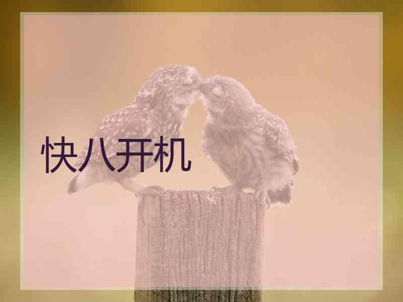 快八开机