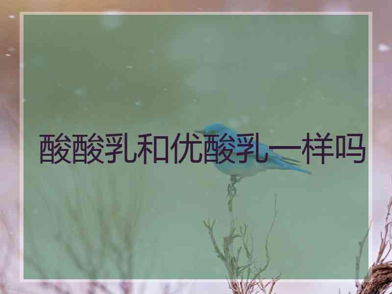 酸酸乳和优酸乳一样吗
